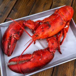lobster